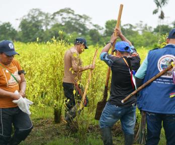 Sustitución voluntaria: la carta que se jugará Petro con Trump.