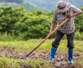 Gobierno presenta cifras históricas en entrega de tierras, producción alimentaria y reducción de pobreza rural