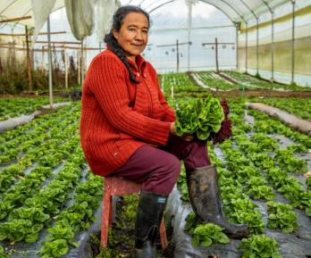 Incremento del presupuesto agropecuario llega a 139%