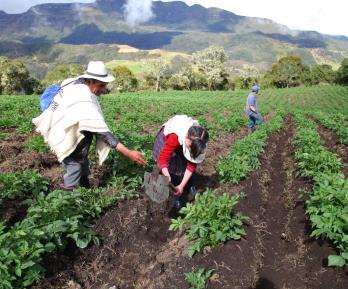 Gobierno pide acelerar la Jurisdicción Agraria ante la Corte Constitucional para resolver conflictos de tierras