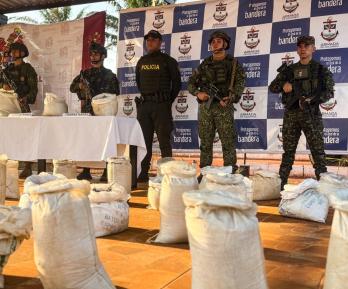 Incautan cinco toneladas de tierras raras en Vichada.
