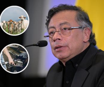 Petro sobre medidas de exportación de carne y gasolina. / Fotos: AFP, Radio Nacional y Freepik.