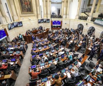 Así quedó conformado el Senado. / Foto: AFP.