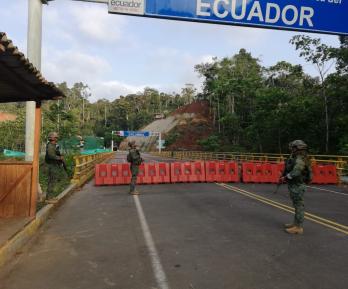 Caen los cultivos de coca en la frontera con Ecuador