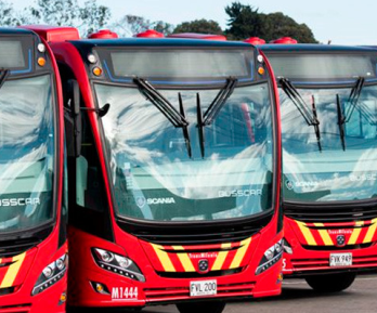 hilera de buses de Transmilenio (panorámicos frontales)