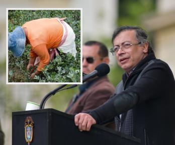 Presidente Petro sobre reducción de cultivos ilícitos. / Fotos: Presidencia y Radio Nacional de Colombia.