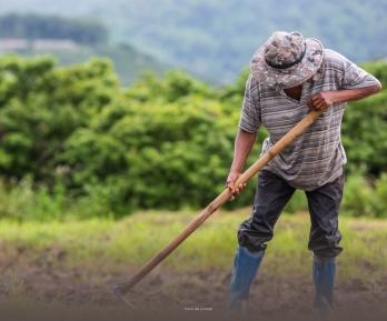 Más de 1,8 millones de hectáreas devueltas: la reforma agraria le cambia la vida a medio millón de víctimas del conflicto