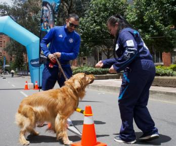 Las ciclovías de Bogotá contarán con nuevas estaciones para mascotas y sus cuidadores, con actividades de bienestar, recreación y nutrición animal disponibles desde mayo y hasta final de año.