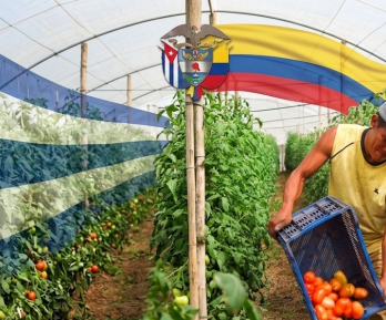 Cuba ayuda humanitaria Petro Colombia