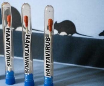  número de casos de hantavirus detectados