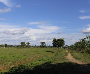 Reforma agraria Gobierno cuestiona fallo de la Corte