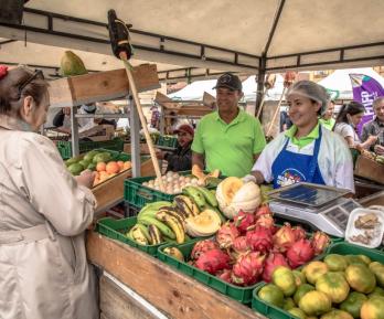inseguridad alimentaria en Colombia cayó en 2025 Dane