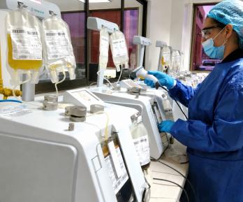Colombia no registra casos de hantavirus tras alerta internacional por muertes en un crucero en Europa