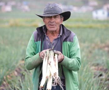 Judicatura y Gobierno urgen al Congreso aprobar la Jurisdicción Agraria antes del 20 de junio