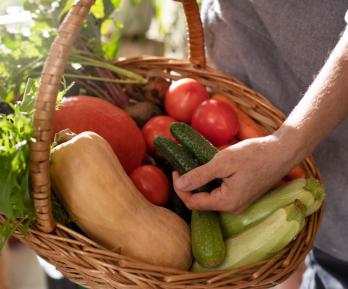 Precios de alimentos en Colombia se mantuvieron estables: Dane