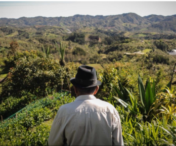 campesino mayor de espaldas, mirando hacia el campo en el horizonte