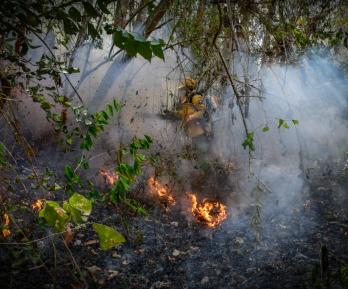 Colombia en alerta por incendios: 114 municipios bajo amenaza