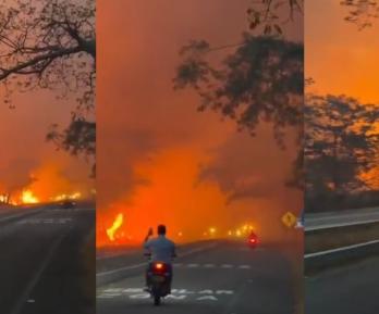 Incendios forestales en Tolima dejan cerca de 20 mil hectáreas afectadas