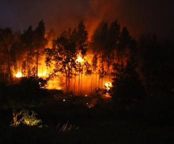 Colombia mantiene la alerta por los incendios forestales.
