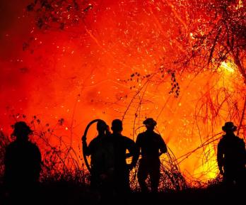 Incendios en Tolima no dan tregua: el corregimiento  de Gualanday concentra la emergencia