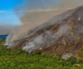 Más de $9.000 millones y ayudas para el campo: así será la recuperación del Tolima tras los incendios forestales