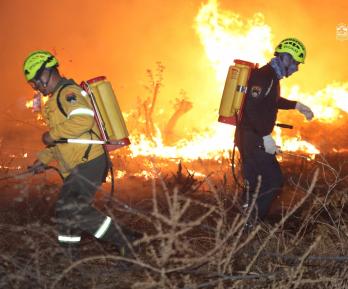 Una colilla, una fogata, un desastre: así puede prevenir incendios forestales