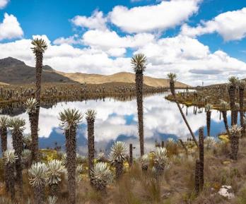 En los Andes, El Niño seca el agua de la que depende el 70 % de los colombianos