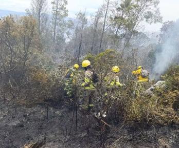 Incendio en el cerro de San Marcos está casi controlado, según confirmó la UNGRD