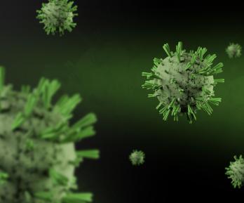 Francia reporta el primer fallecido por el virus Shamonda