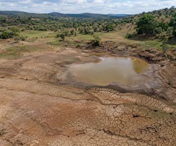 El Niño podría extenderse hasta marzo de 2027. Foto: generado con IA