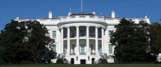 Elecciones presidenciales en Estados Unidos. / Foto: AFP.