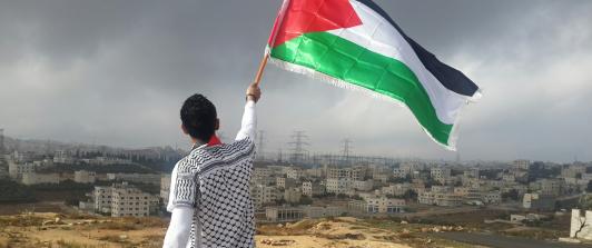Joven ondea la bandera palestina. 