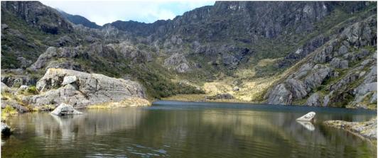 ¡Páramos, a salvo! Colombia gana otro litigio en Santurbán contra minera canadiense