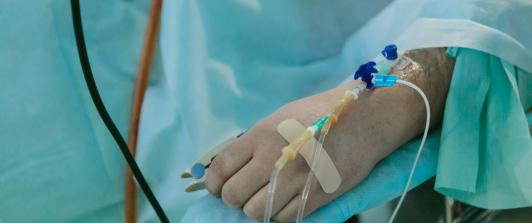 Primer humano contagiado de gripe aviar H5N2 no murió por el virus