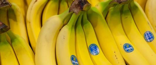 Chiquita Brands