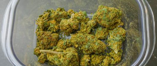 Brasil despenaliza la posesión de marihuana; ¿a cuánto equivale 40 gramos?