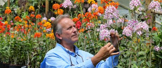 Daniel Piedrahita y sus orquídeas