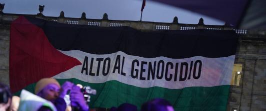 Bandera de Palestina en el Congreso