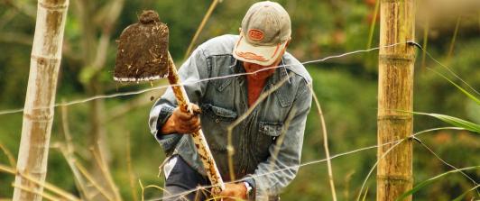 Pobreza monetaria en zonas rurales se redujo en un 4,7%, un avance significativo en Colombia