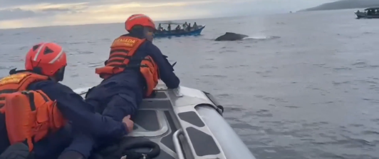 Imágenes del rescate de la segunda ballena en el parque Bahía Solano.