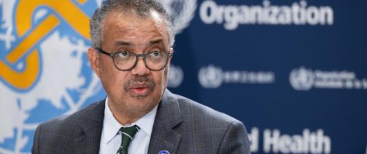 Viruela del mono es emergencia internacional de salud pública. / Foto: AFP.