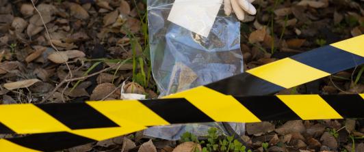 5 hombres asesinados en Puerto Rico, Caquetá