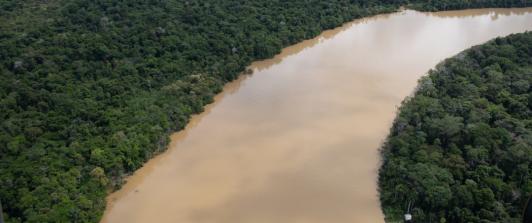Embajador itinerante de asuntos amazónicos en Colombia. / Foto: AFP.