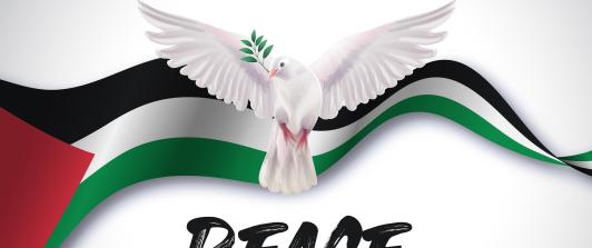 Petro propone conferencia de paz sobre Palestina