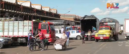 Pequeños transportadores