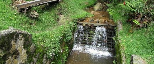 Lugares para celebrar el Día del Amor y la Amistad en Bogotá