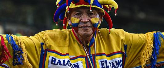 Hincha de la Selección Colombia