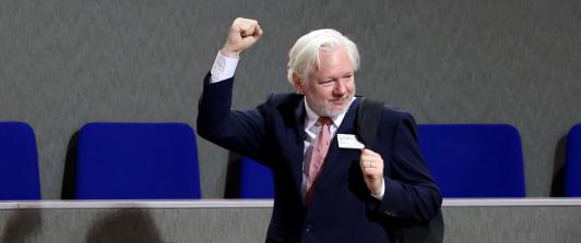 Julian Assange ante el Consejo de Europa