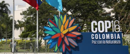 Cop16 y la capacidad hotelera en Cali. / Foto: Alcaldía de Cali.