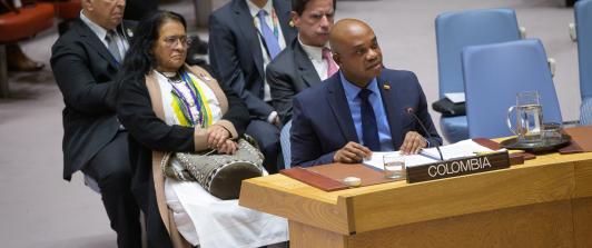 Informe de la ONU sobre implementación de los Acuerdos de Paz en Colombia.